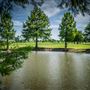 Prairie Lakes Golf Course