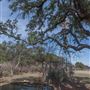 Steinhaus Ranch