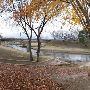 Hancock Park