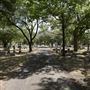 Oakwood Cemetery