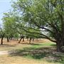 Miles City Park