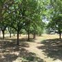 Miles City Park