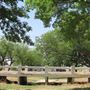Miles City Park