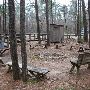 Lake Livingston State Park