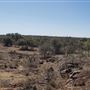 Gemini Movie Ranch