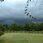 Scottsville Property