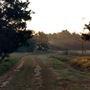 Scottsville Property