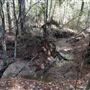 Scottsville Property