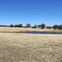Fairlea Longhorn Ranch