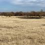Fairlea Longhorn Ranch