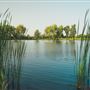 Seabourne Creek Nature Park