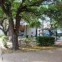 City Fountain Park