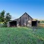 Shirttail Creek Farm