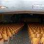 Wilbarger Memorial Auditorium