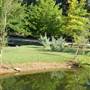 Clark Gardens Botanical Park