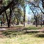 Veteran's Memorial Park