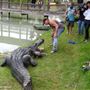 Gator Country