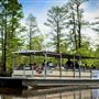 Neches River Shoreline