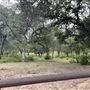 Conrey Ranch