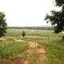 Two Wishes Ranch