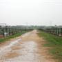 Two Wishes Ranch