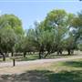 Big Bend National Park - Rio Grande Village