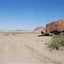 Horseback Riding Trails