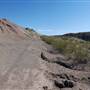 Horseback Riding Trails