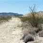 Big Bend Ranch State Park