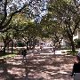 Texas State University