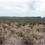 FM 169 to Casa Piedras