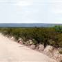 FM 169 to Casa Piedras