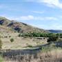 CF Ranch