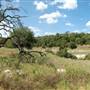 Milton Reimers Ranch County Park
