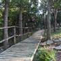 Cedars on the Brazos Bed & Breakfast