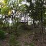 Cedars on the Brazos Bed & Breakfast