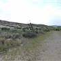 Big Bend Ranch State Park - Barton Warnock Environmental Education Center