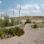 Big Bend Ranch State Park - Barton Warnock Environmental Education Center
