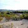 Terlingua Ghost Town