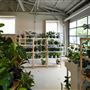 Eden Plant Co.
