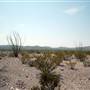 Big Bend Ranch State Park - Park Entrance