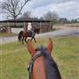 Hidden Meadows Ranch