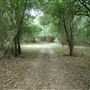 Spiderwood Studios 969 - Backlot
