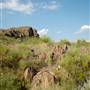 Big Bend Ranch State Park