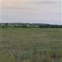 Hoover Knobs
