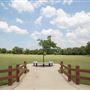 Allan Saxe Park