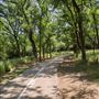 Bob Findlay Linear Park