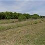 Bowman Branch Linear Park