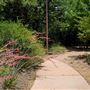 Dixon W. Holman Park
