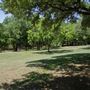 Doug Russell Park